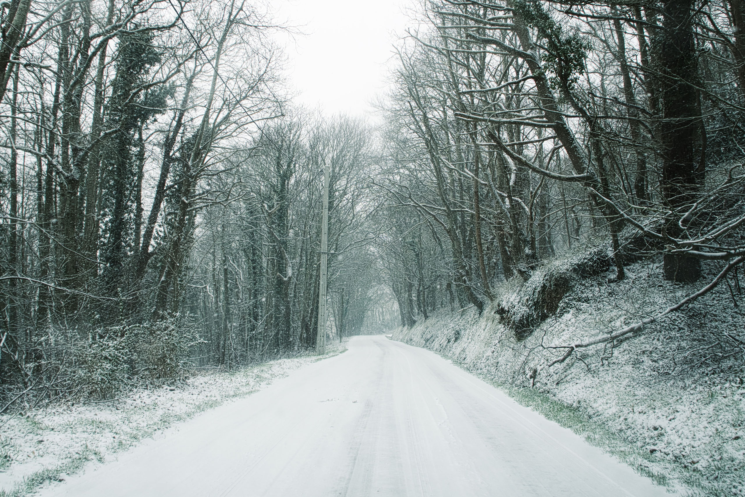 It’s snowing, everyone PANIC!