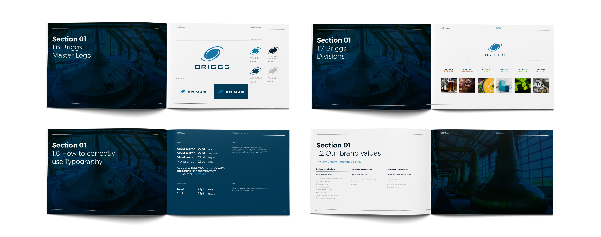 Briggs-page-mockups