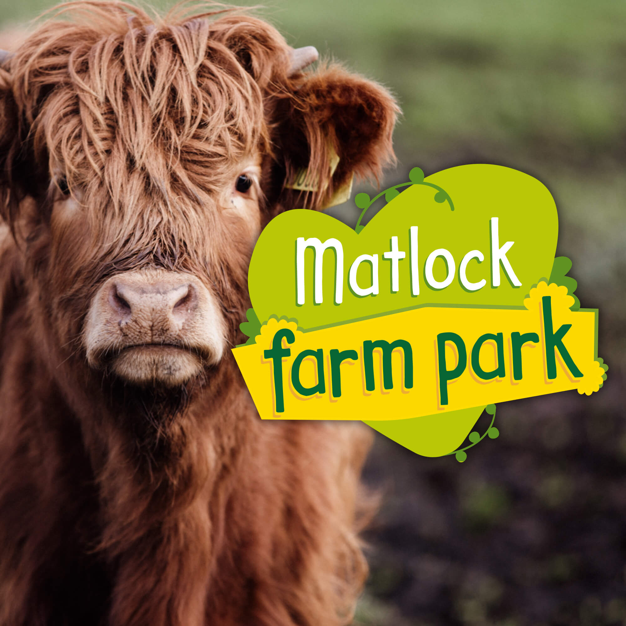 Matlock Farm Park