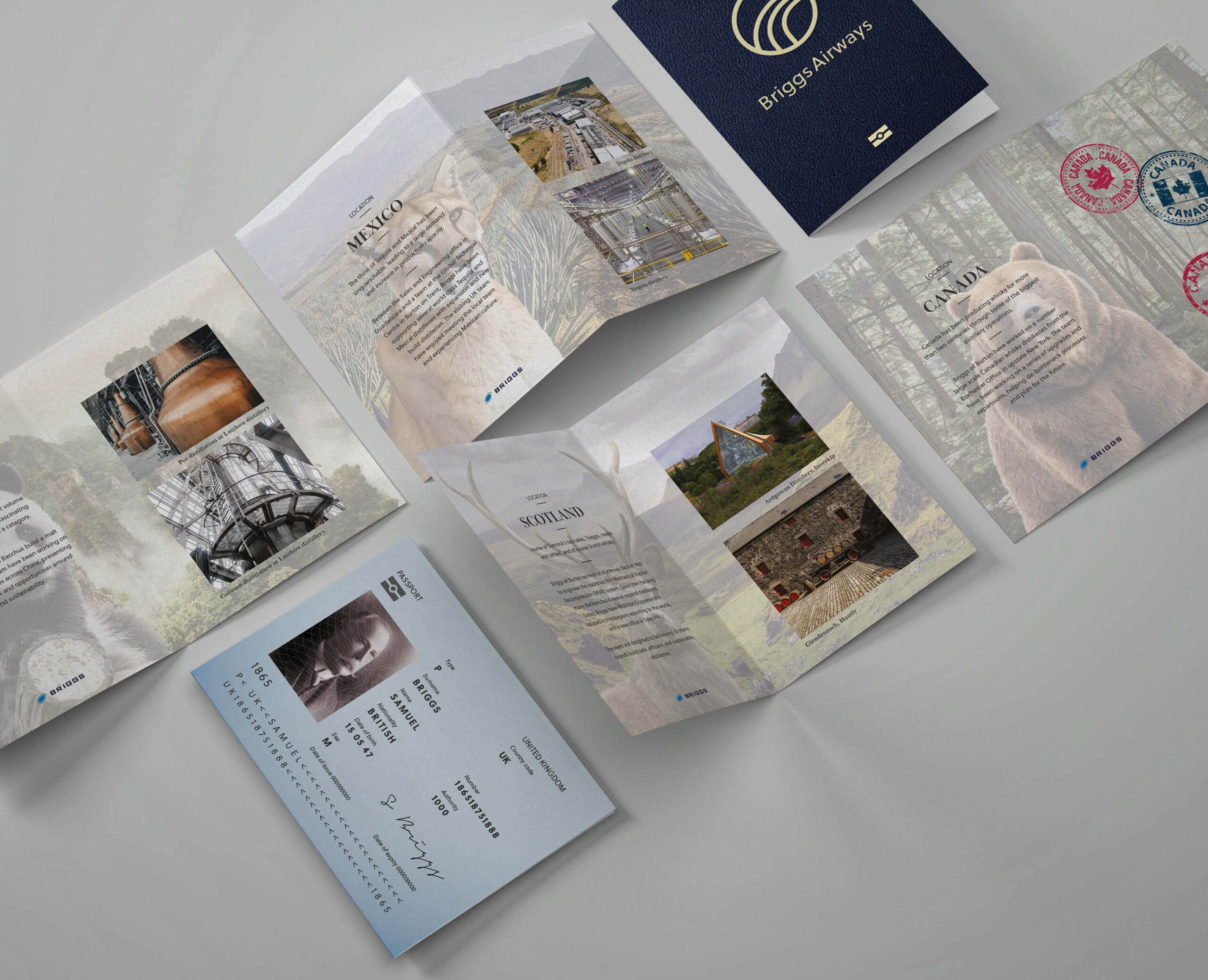 briggs of burton print design