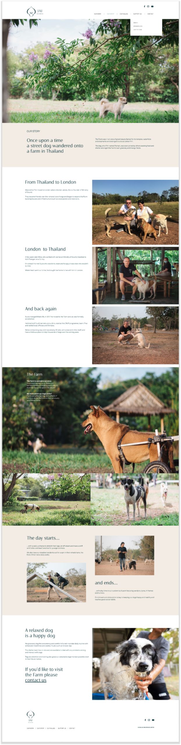 Jai Dog Rescue webpage design screenshot by Crush