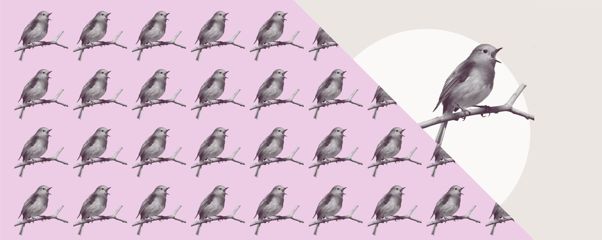graphic mockup of singing birds