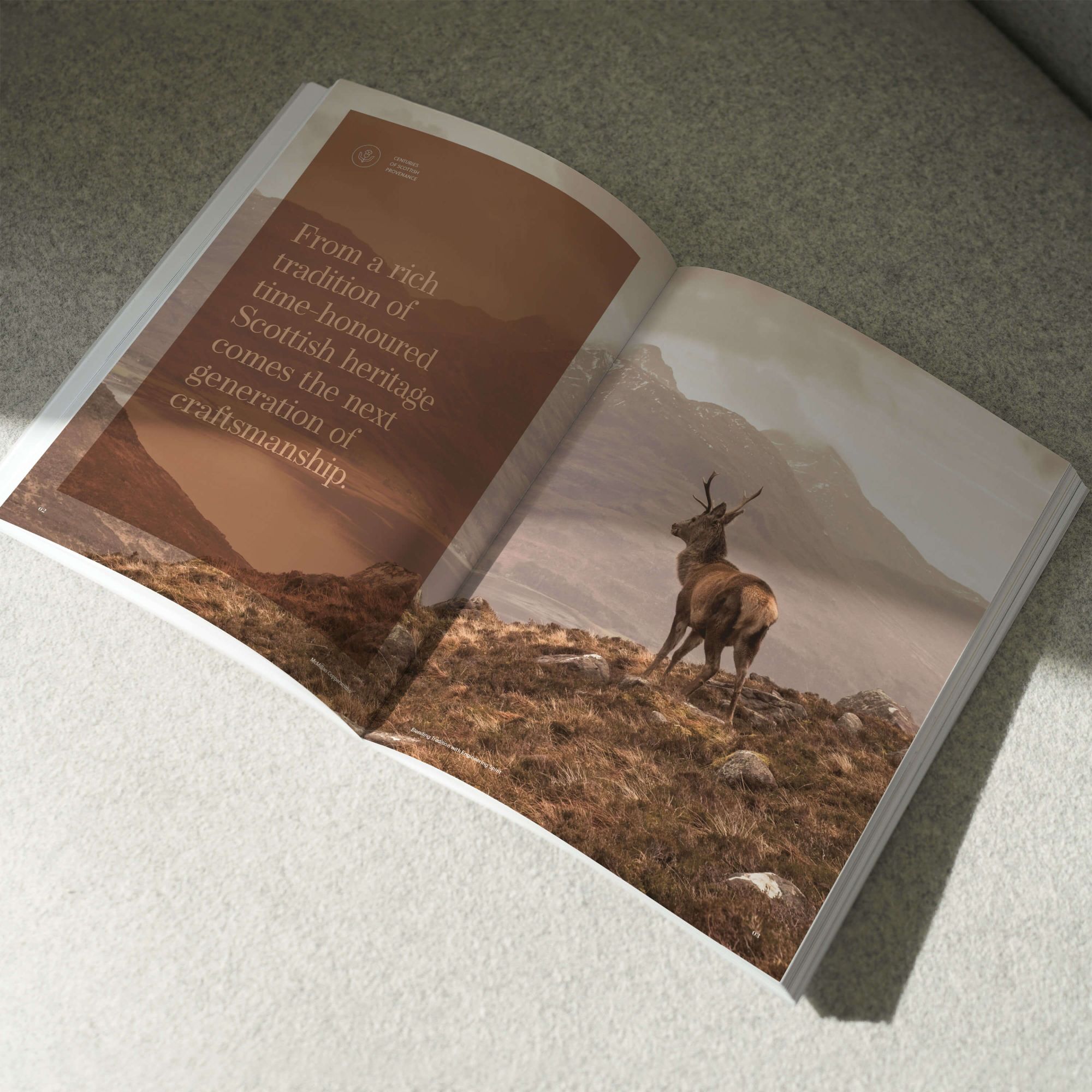 beautiful photo of Scottish highland deer in brochure