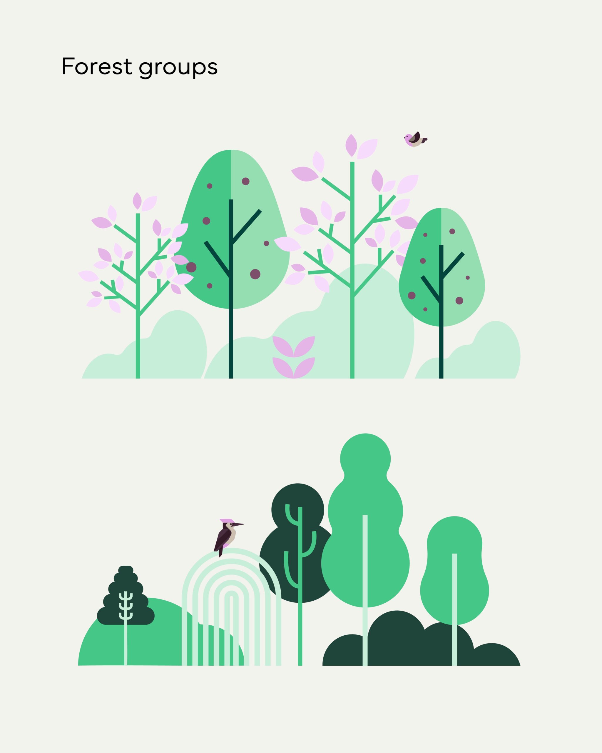 Stylised trees and nature illustrations.
