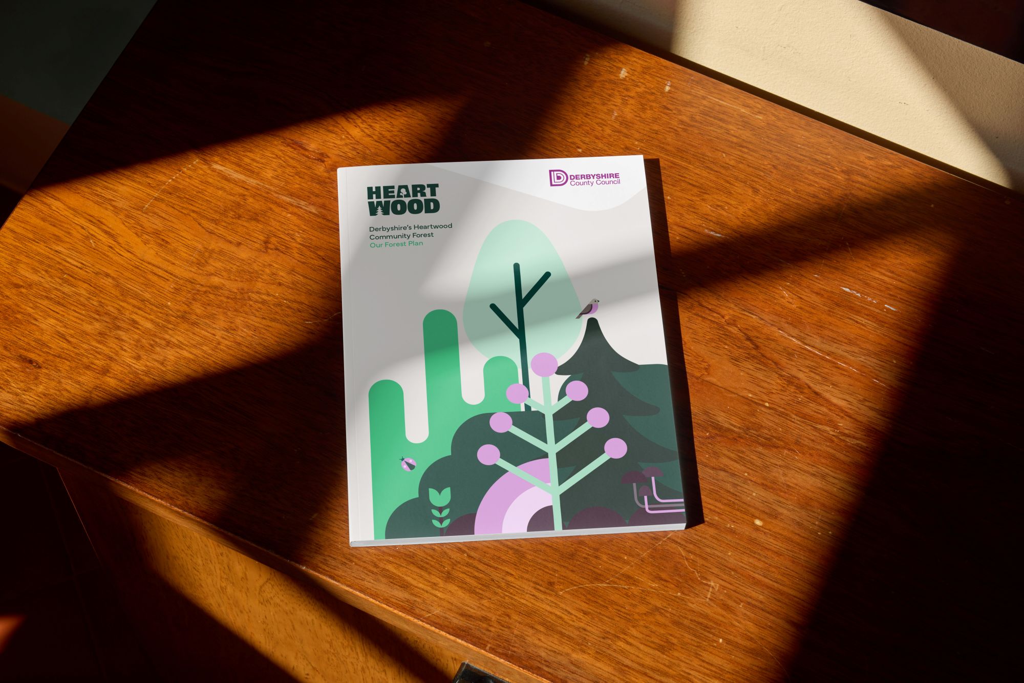heartwood community forest brochure design